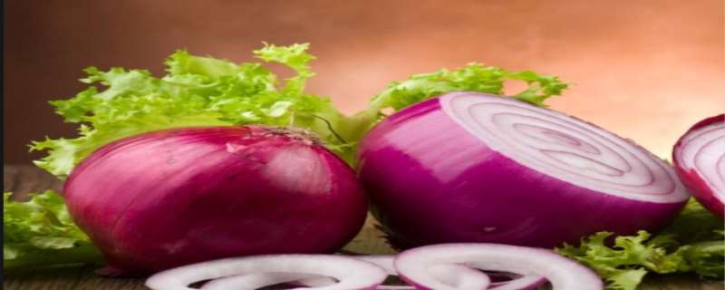 洋葱有除甲醛的作用吗