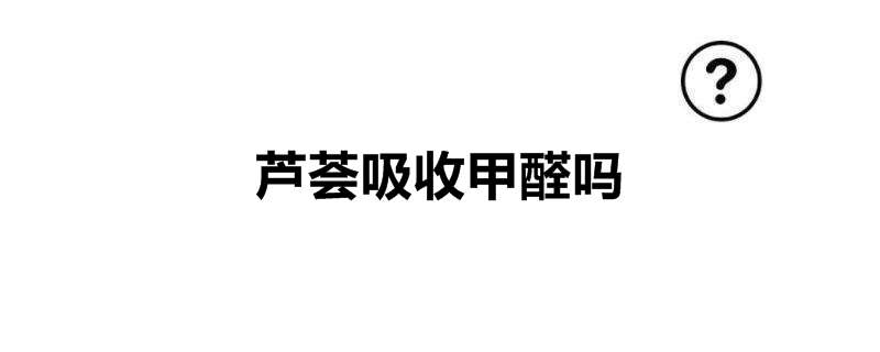 芦荟吸收甲醛吗
